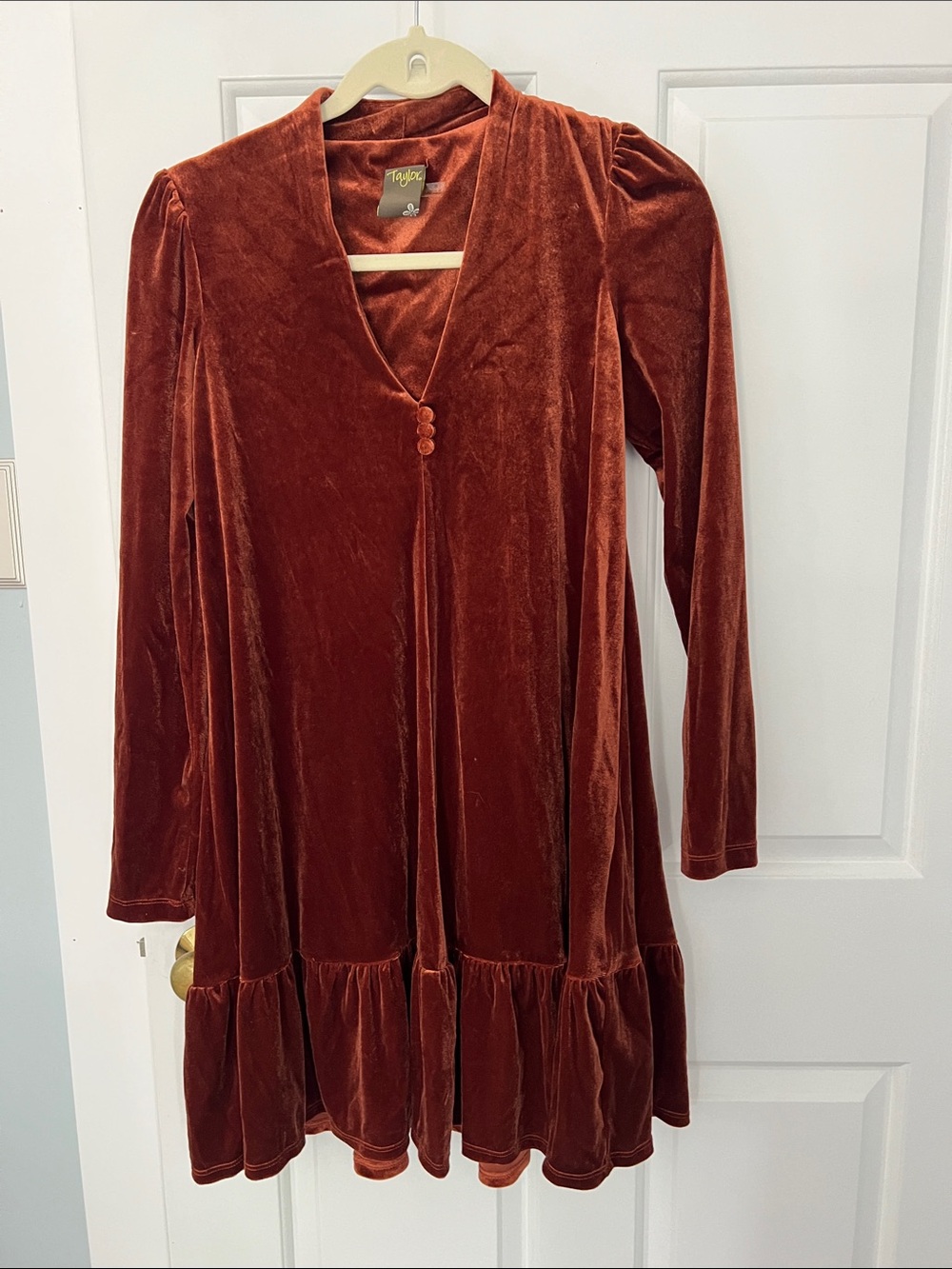 Taylor Burnt Orange Velvet Button-Front Dress